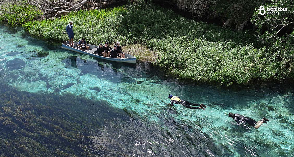 Ecoturismo no Brasil: saiba tudo sobre a modalidade