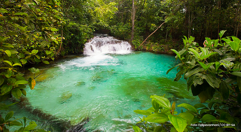 Ecoturismo: conheça os principais destinos no Brasil