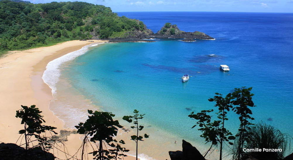 Passeios em Fernando de Noronha para a família