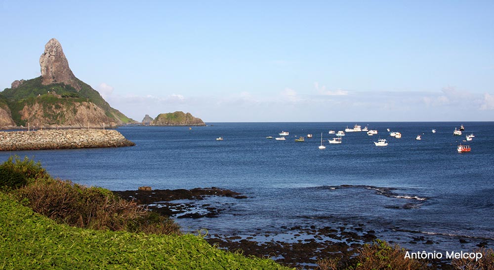 O que fazer em Fernando de Noronha em 5 dias