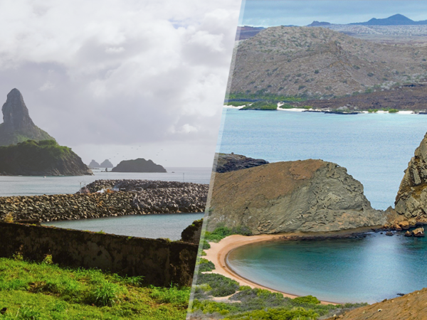 Mergulho em Noronha x Mergulho em Galápagos: qual escolher?