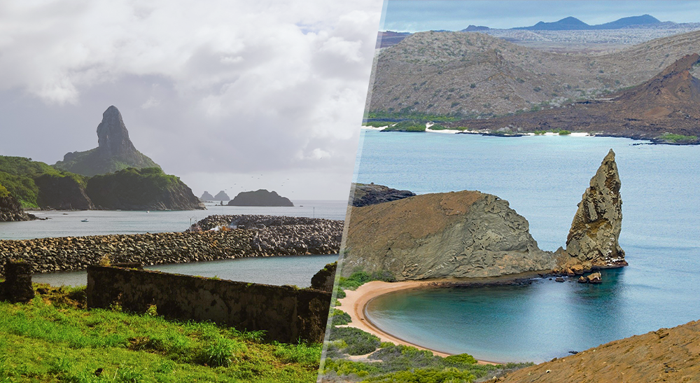 Mergulho em Noronha x Mergulho em Galápagos: qual escolher?