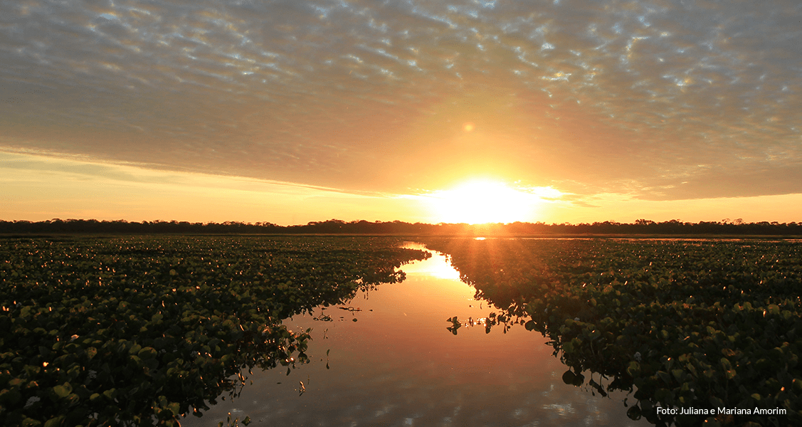 O que fazer no Pantanal