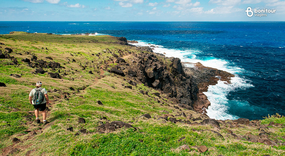 Conheça Fernando de Noronha em julho