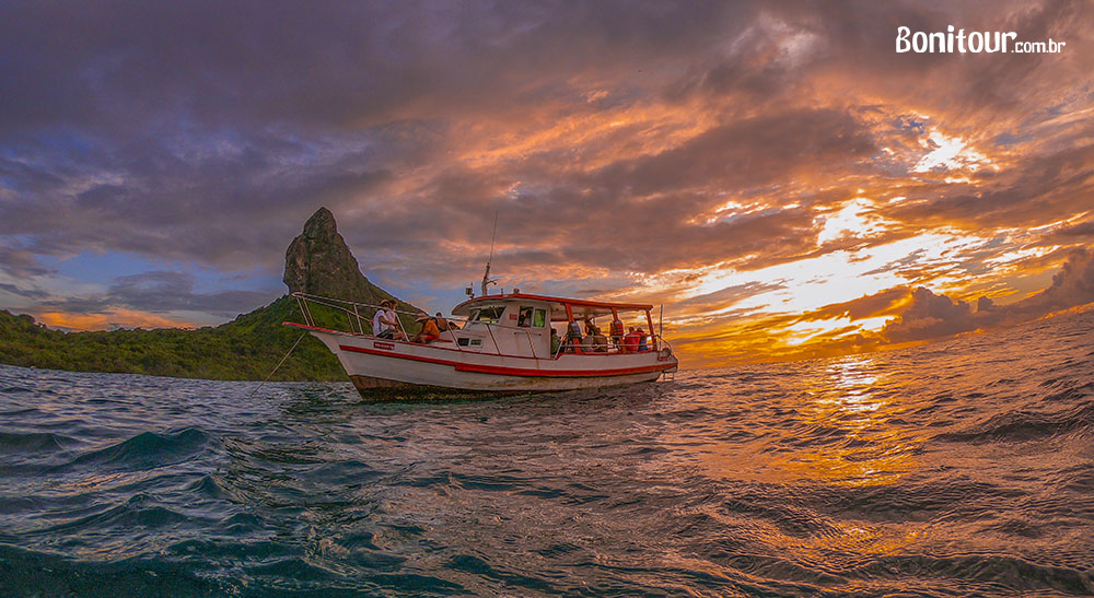 Passeios de barco em Fernando de Noronha