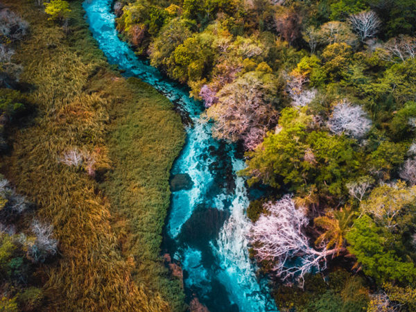 Tudo sobre o Rio Sucuri em Bonito/MS