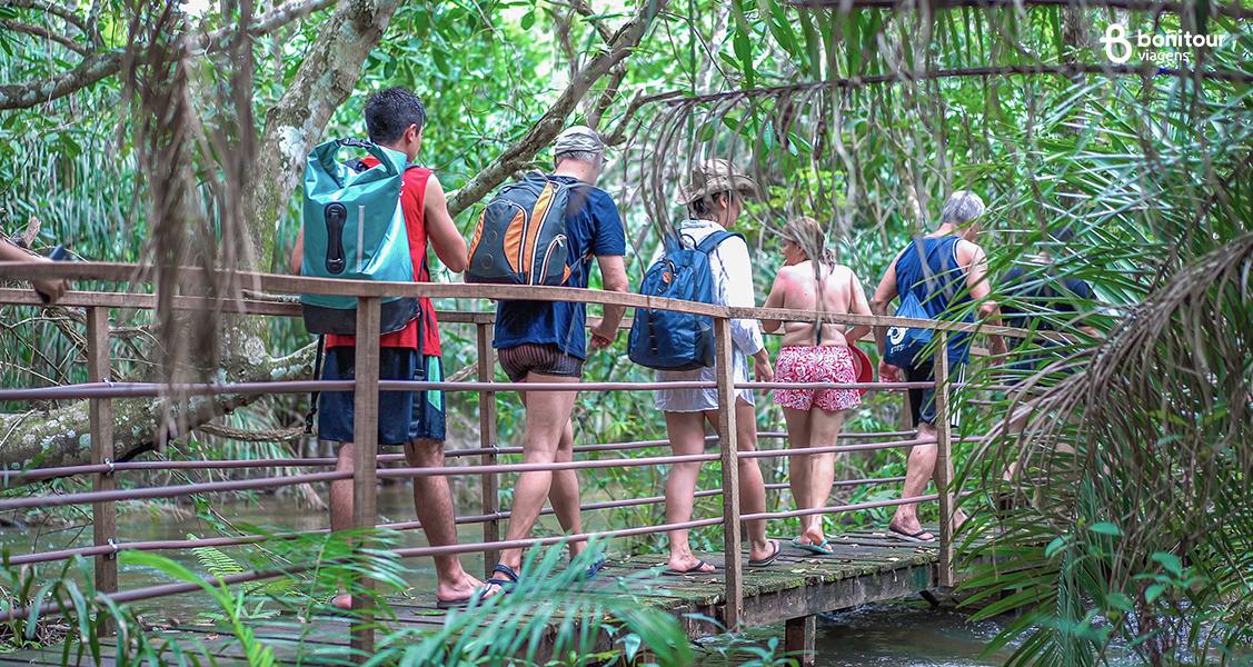 O que é ecoturismo e onde praticar