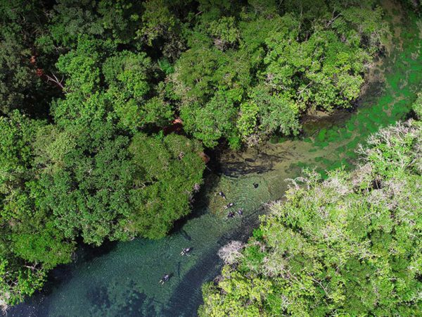 Saiba tudo sobre o Rio da Prata