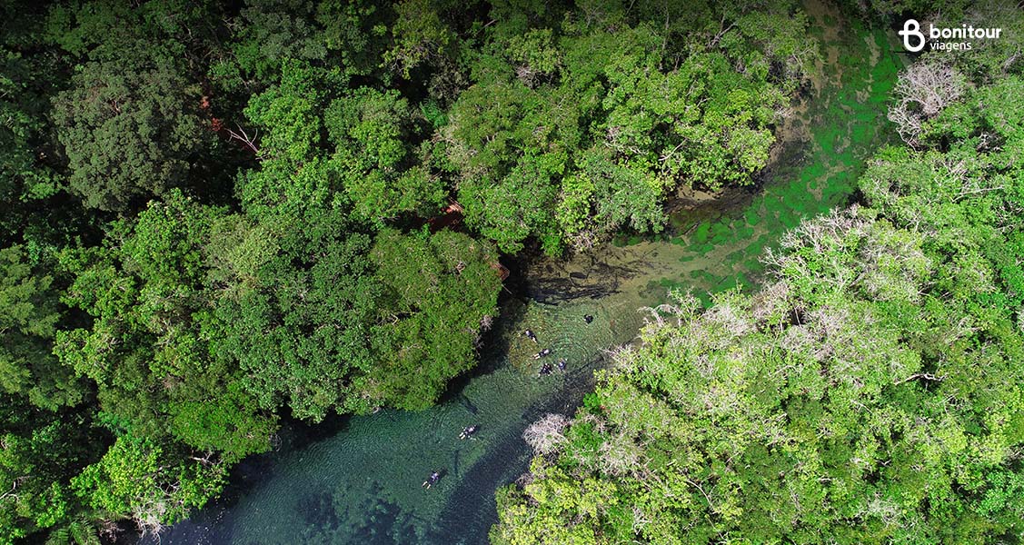 Saiba tudo sobre o Rio da Prata