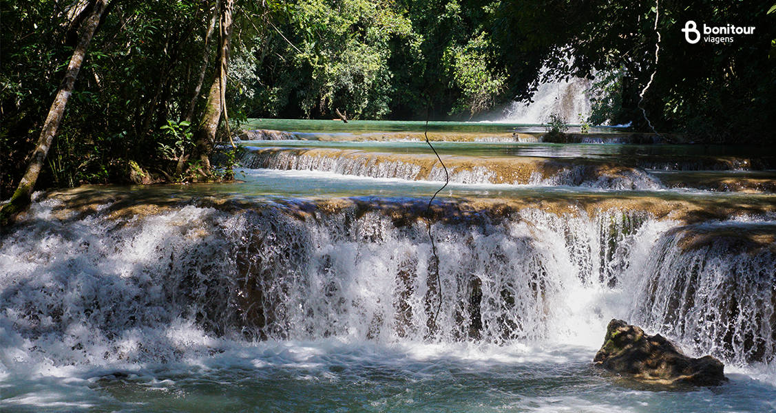 Tudo sobre a fazenda Estância Mimosa em Bonito/MS