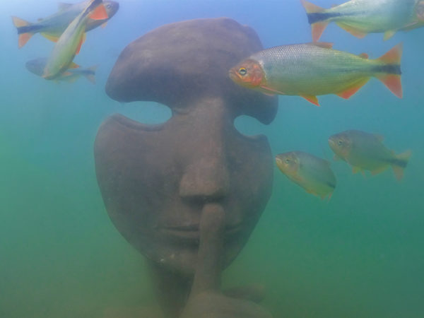 Conheça o museu subaquático de Bonito/MS: o primeiro museu de água doce do mundo