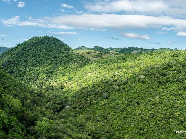 Tudo sobre a Serra da Bodoquena