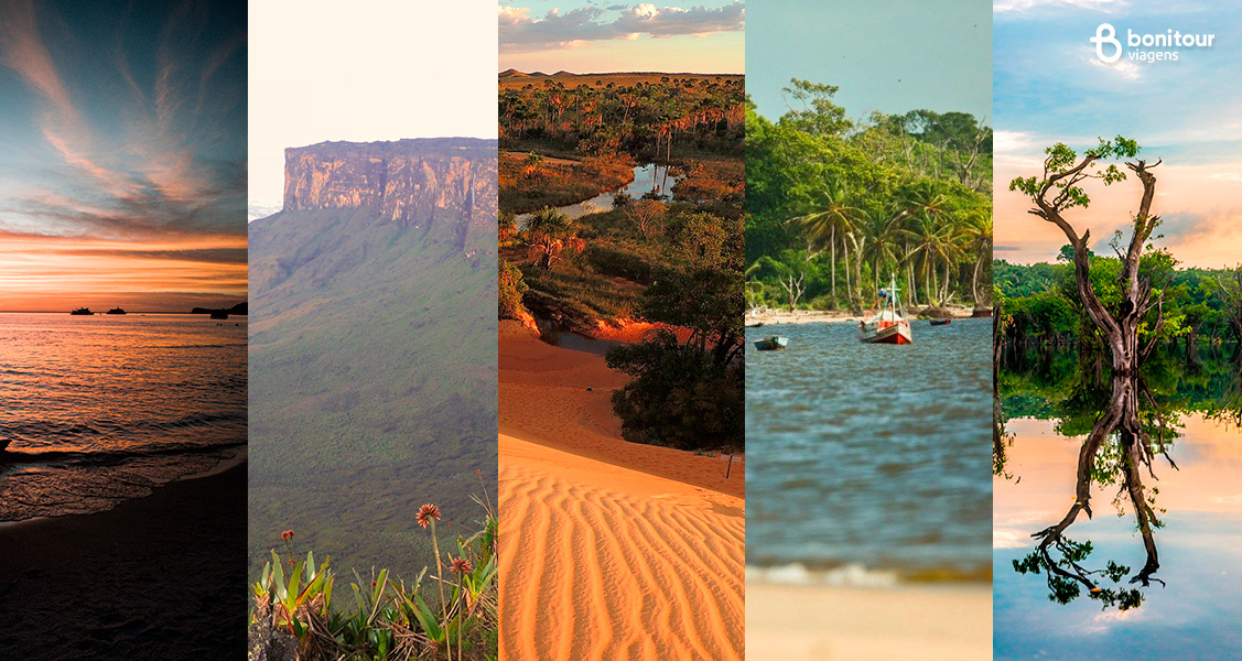 5 destinos de ecoturismo na região Norte do Brasil