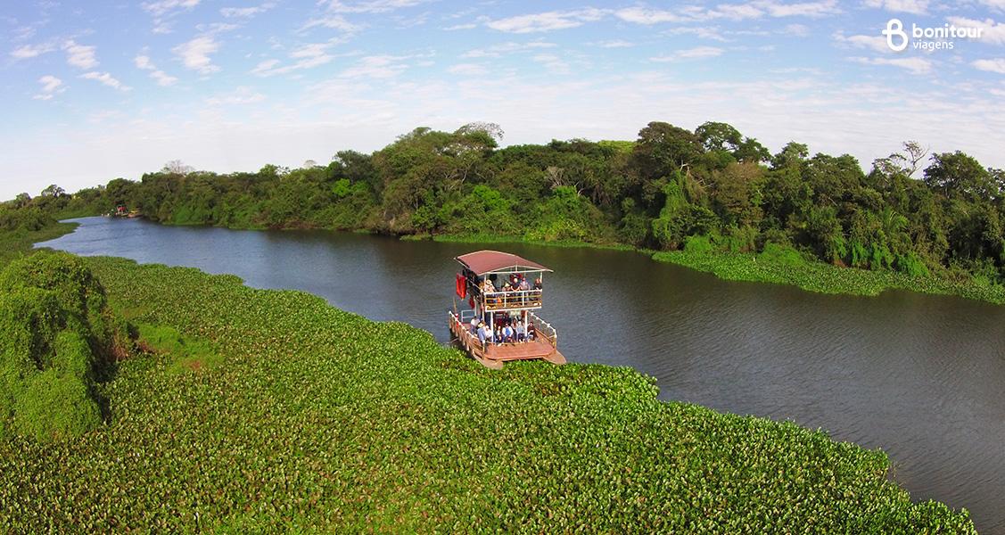 Curiosidades sobre o Pantanal: o paraíso do ecoturismo brasileiro