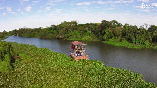 Curiosidades sobre o Pantanal: o paraíso do ecoturismo brasileiro