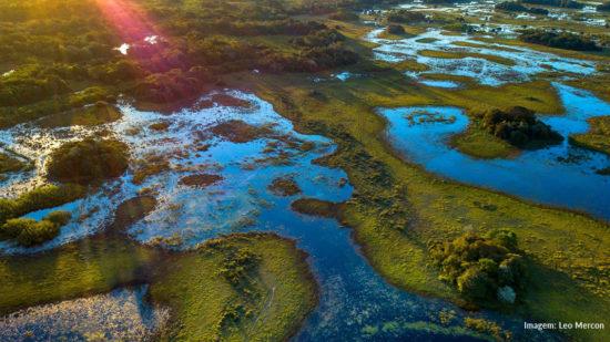 Qual é a melhor época para ir ao Pantanal?