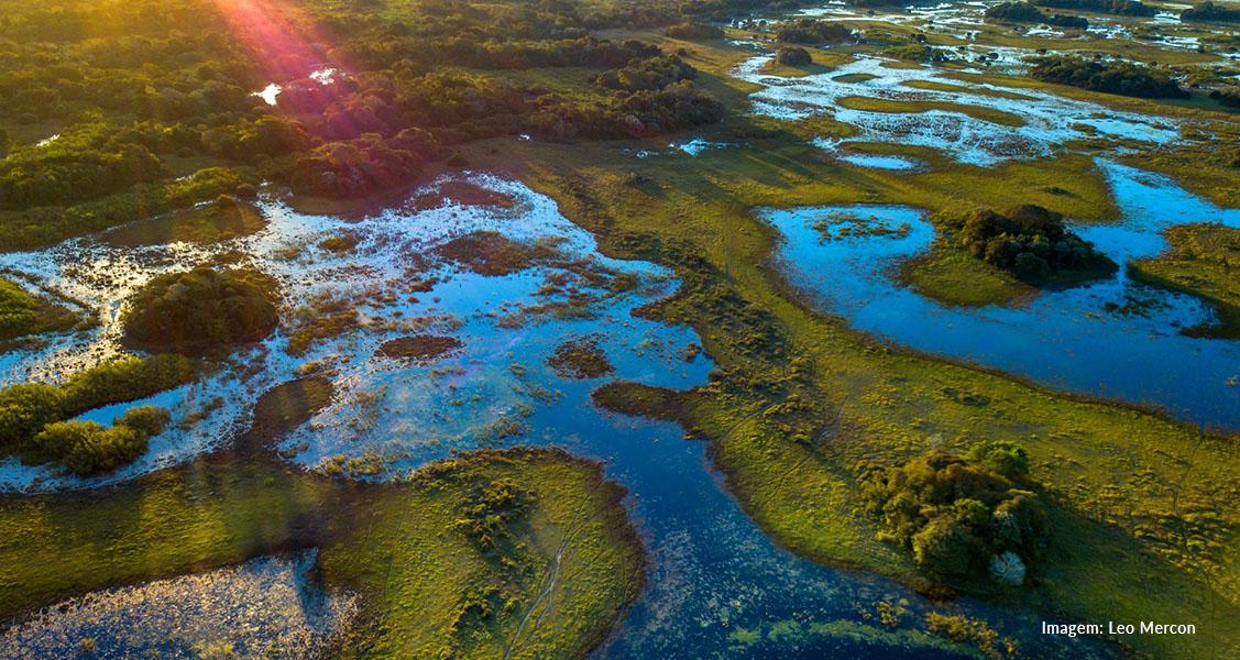 Qual é a melhor época para ir ao Pantanal?